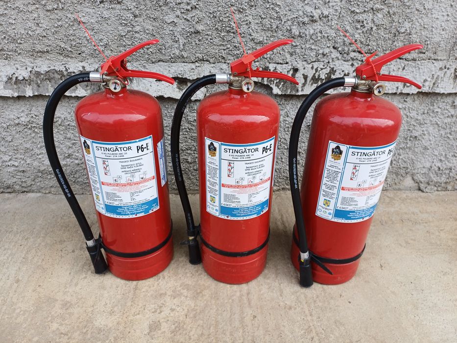 Stingător P6  cu termen și valabilitate