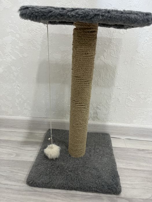 Когтеточка для кошек