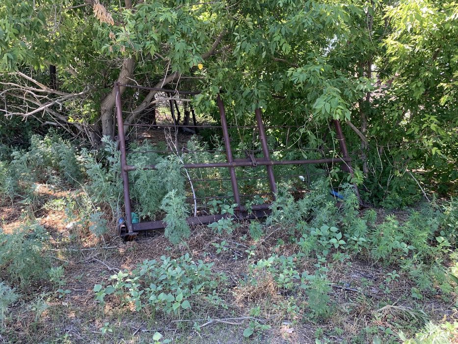 Трактор  МТЗ 82.