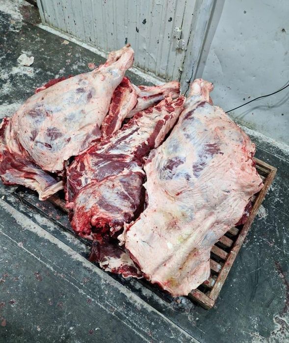 Мясо говядины конины баранины