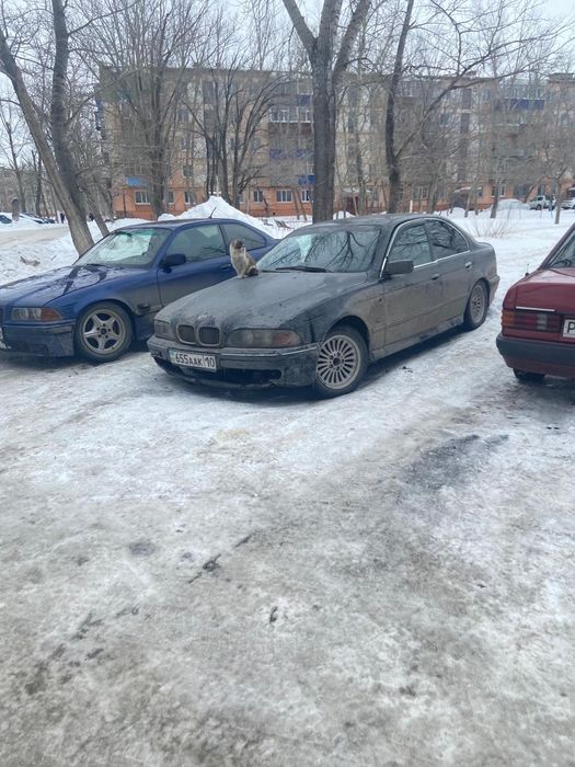 Турбо дизель BMW