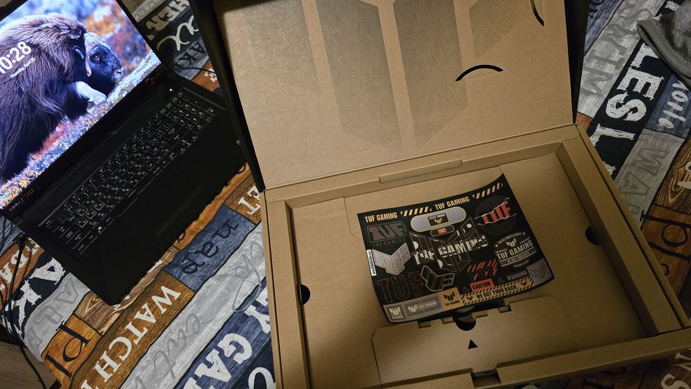 Asus TUF FA706QM - HX001T, 17.3