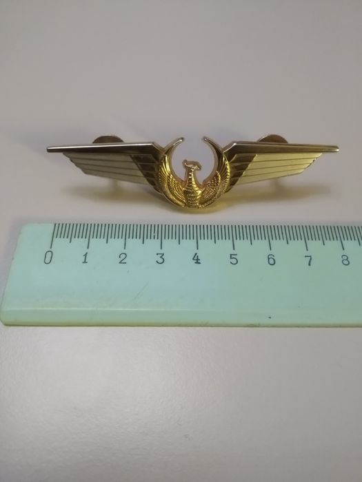 Значок пилота. Латунь.