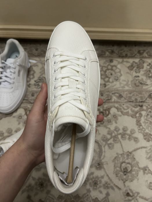 Aldo кроссовки