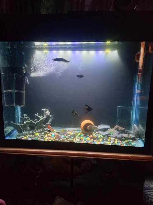 Продаётся аквариум 500 литровый