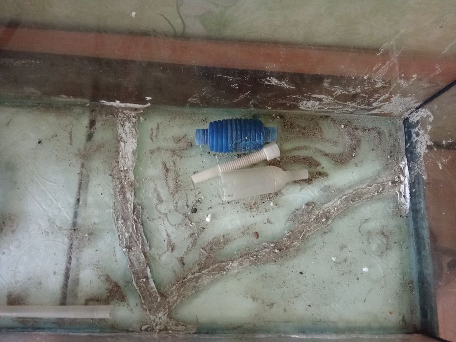 Аквариум аквариум