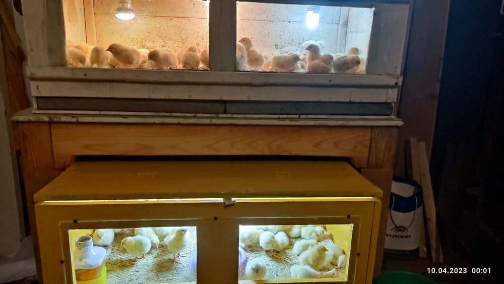 Инкубатор хизмати