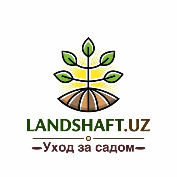 дезифекция дорилаш