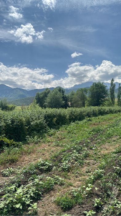 Продам. !  Земельный. Участок.  2  га