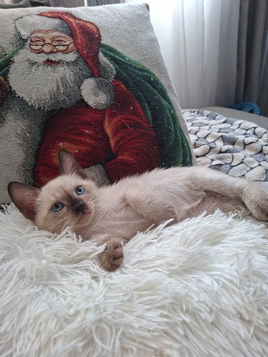 две момичета и едно момче