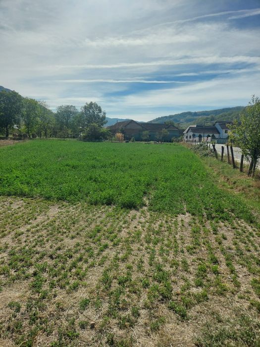 Teren intravilan Costesti