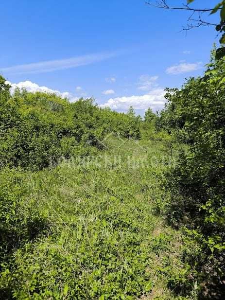 Продава се Парцел в с. Арбанаси, Област Велико Търново - 601 кв.м за 41 €/кв.м - Снимка #4