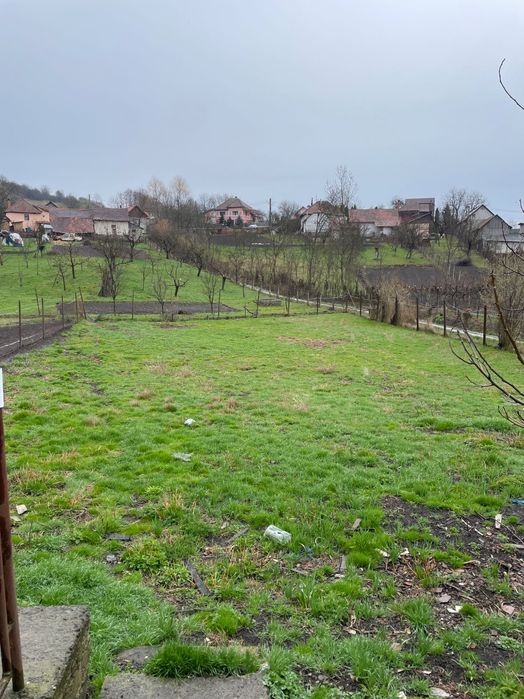 Casă de vânzare Lunca