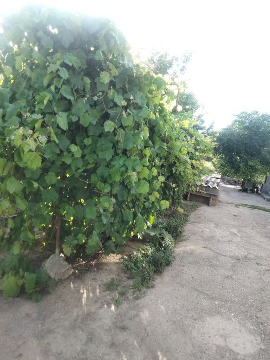 Продаётся дом с участком 6соток