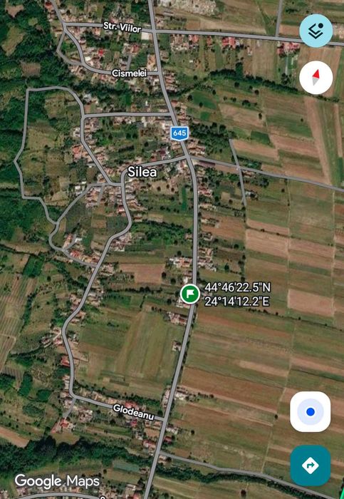 Struguri crâmpoșie 1000kg