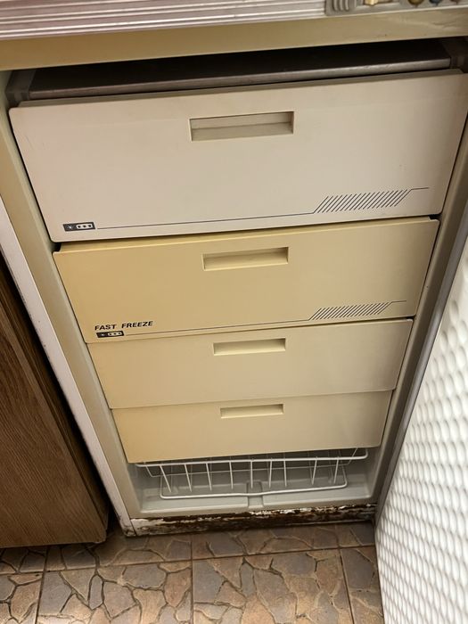 Congelator Arctic