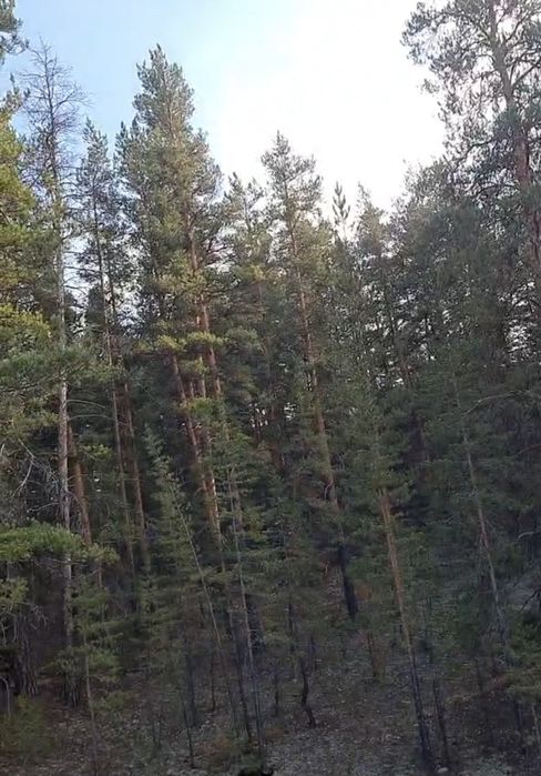 Квартира и коттедж,обмен