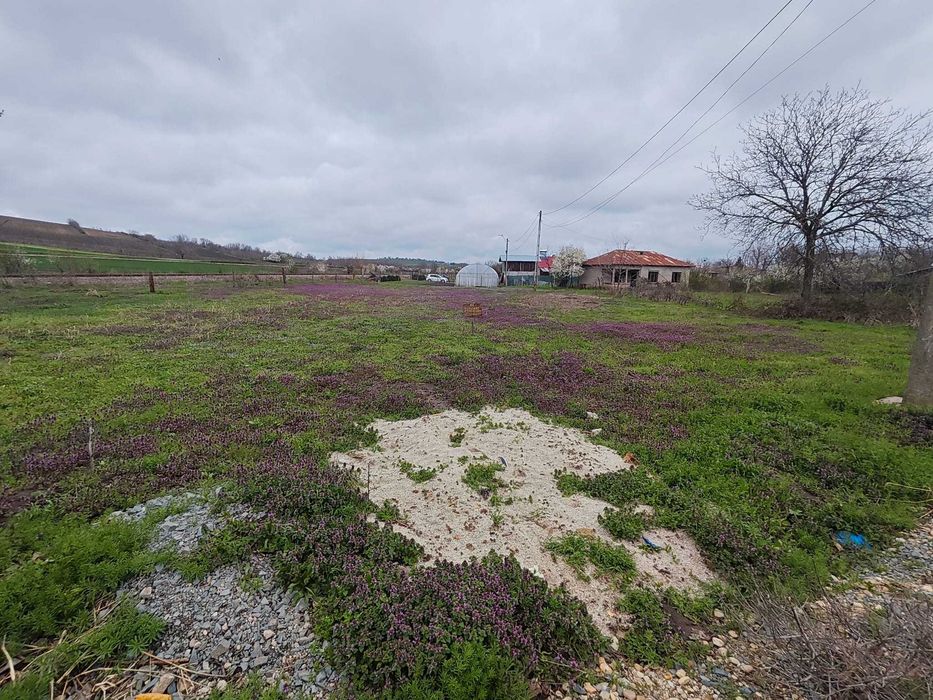 teren intravilan comuna daia