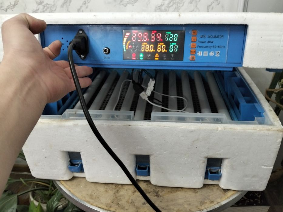 Инкубатор 64 жұмыртқа