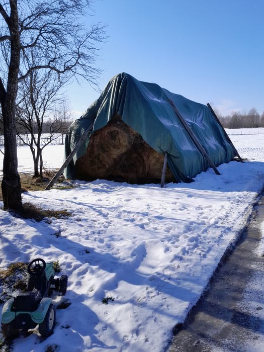 Baloti de fan 59 bucata