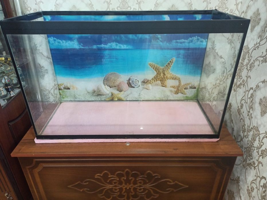 Akvarium sotiladi razmeri 90 .37. 55 soni 2 ta .