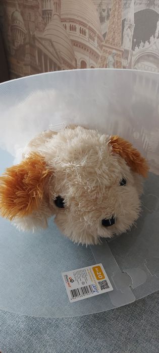 Защитный воротник на застежке