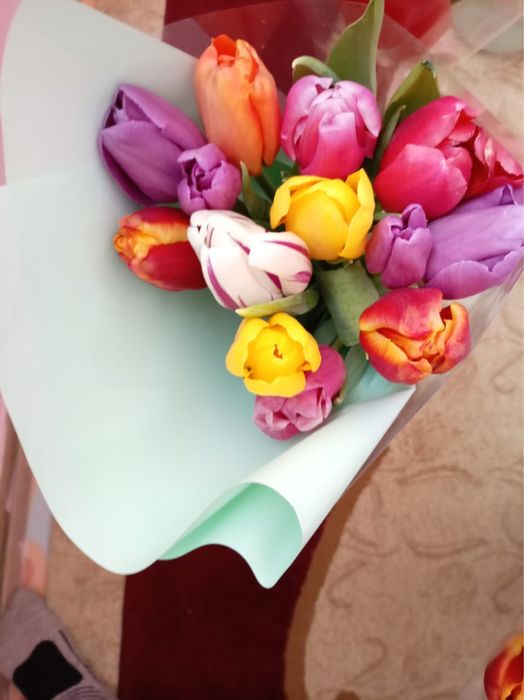 11 шт букет тюльпанов
