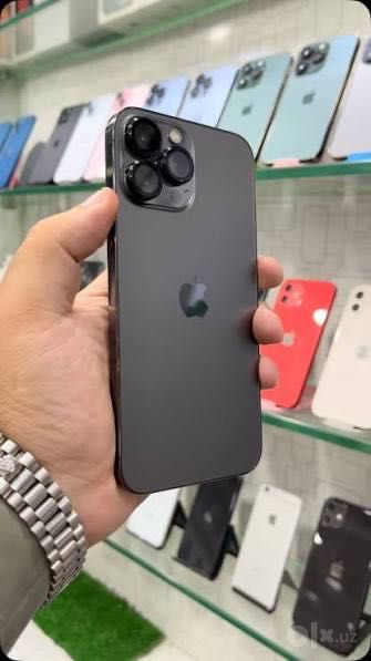 iPhone 13 Pro Max