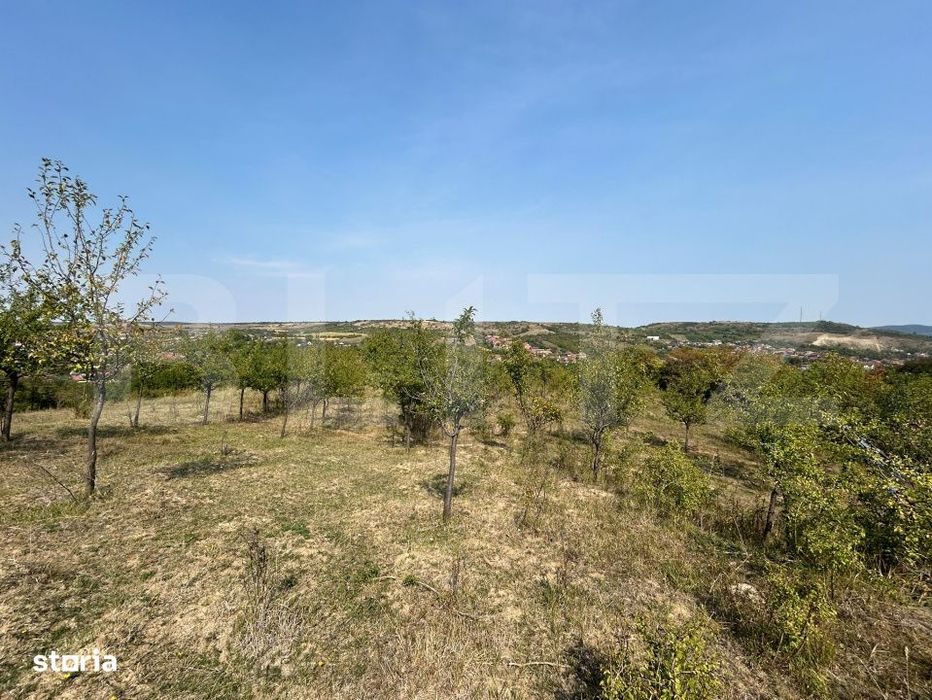 Teren extravilan de vanzare–5.800 mp, livada si vedere panoramica sp