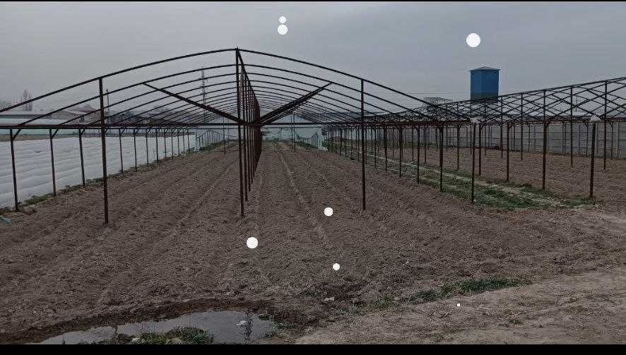 Issiqxona uchun jijozlar