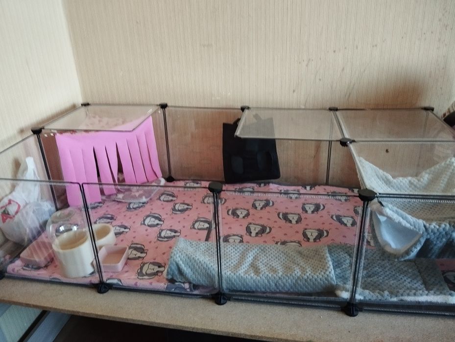 продам вольер для морской свинки