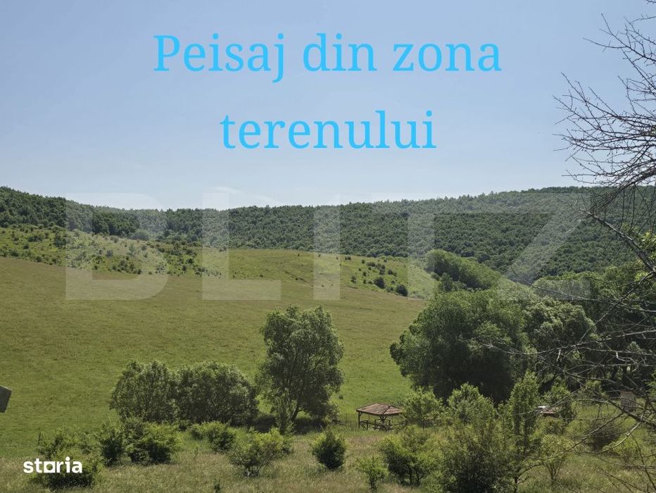 Teren intravilan construibil  in Salicea