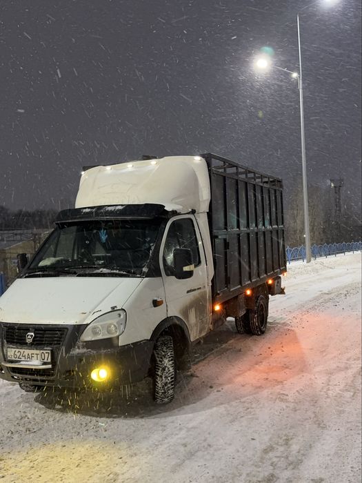 СКОТОВОЗ Газель Межгород