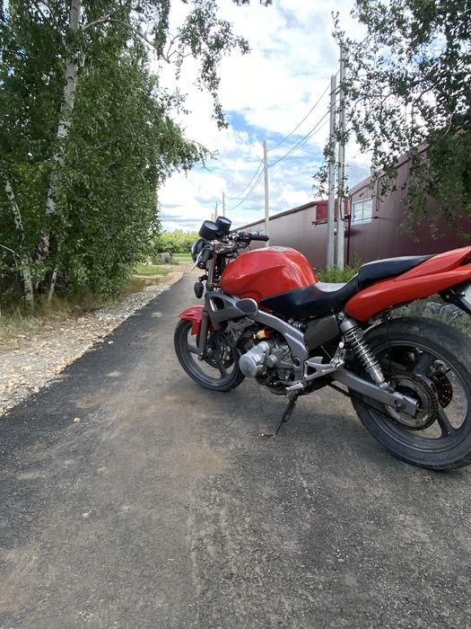 Suzuki bandit 250