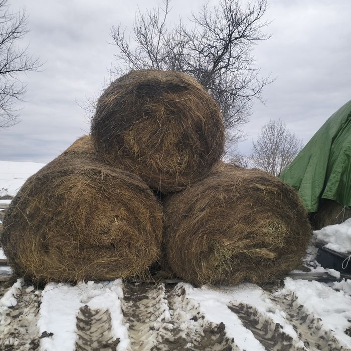 Vând baloți de fân