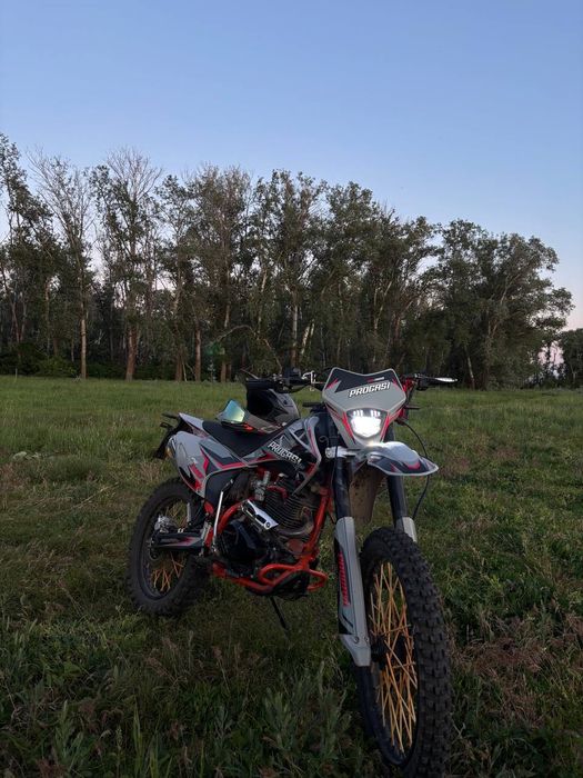 Progasi Palma 300
