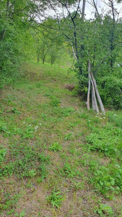 Vând teren intravilan Aluniș Prahova