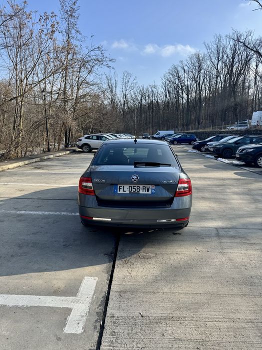 Skoda Octavia 2020  2.0 TDI 150 CP  DSG 7