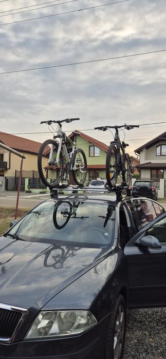 Bare tranversale thule