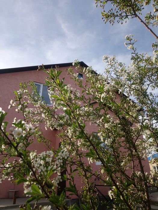 Продам дом в п. Сазды 2