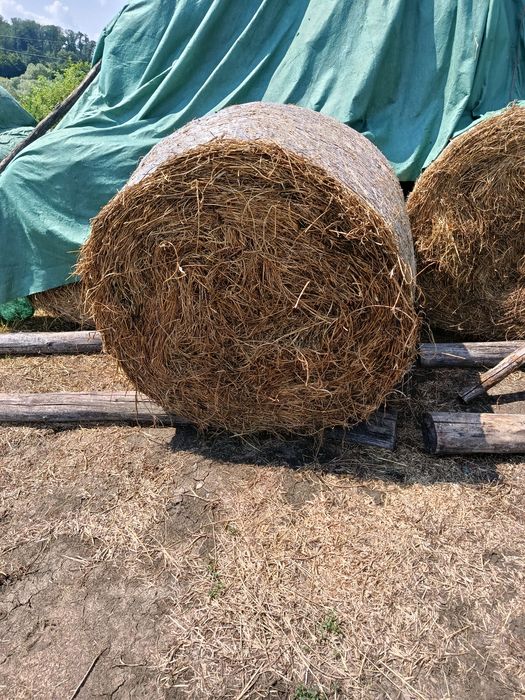 Baloți de fân și de lucernă,coasa 1 ,2,3 !