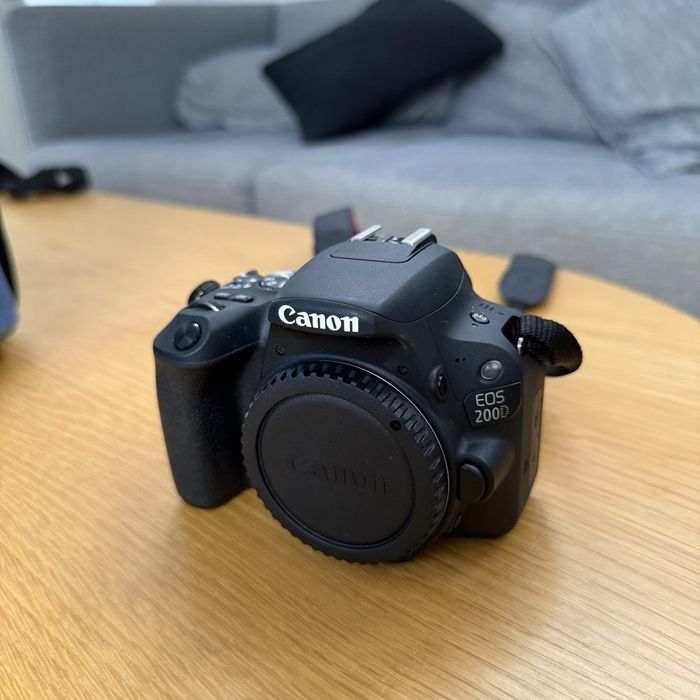 Canon EOS 200D + Canon EF 50mm f/1.8 II