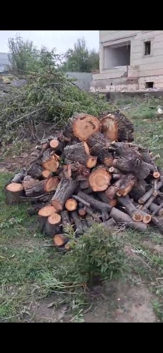 Продам плодовые дрова
