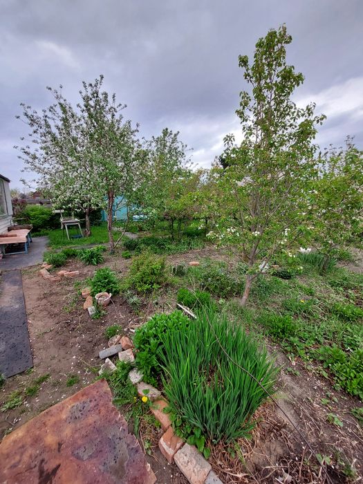 Продам дачу 1 общество