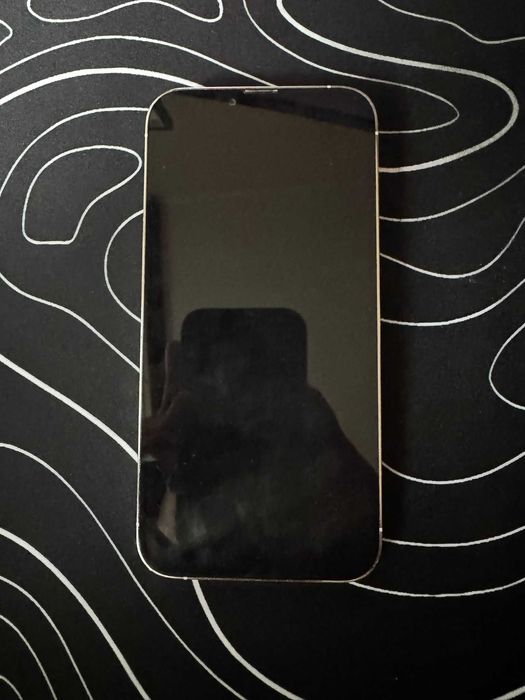 iPhone 13 Pro Max - defect