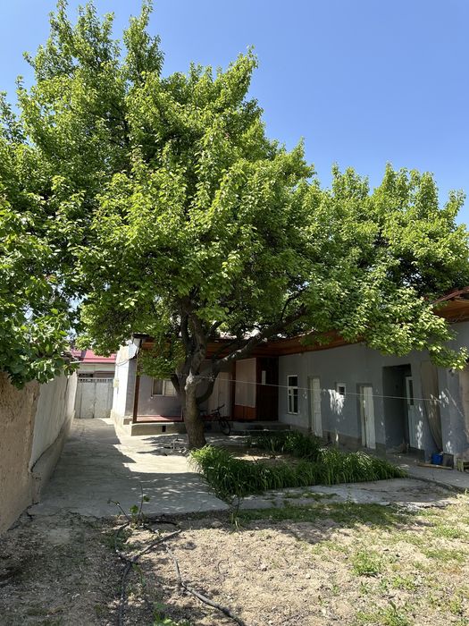 Uy sotiladi srochno  6 sotix