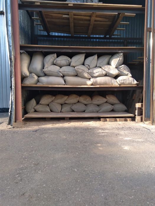 Опилка сатылады.