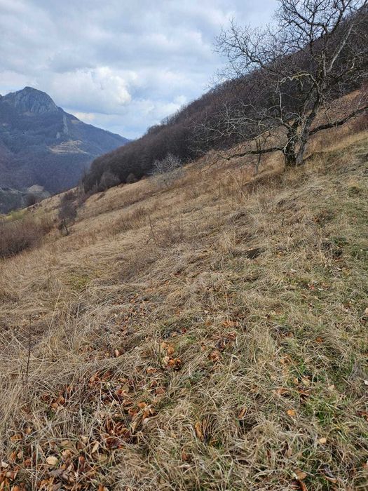 Teren de vanzare pe Transalpina de Apuseni