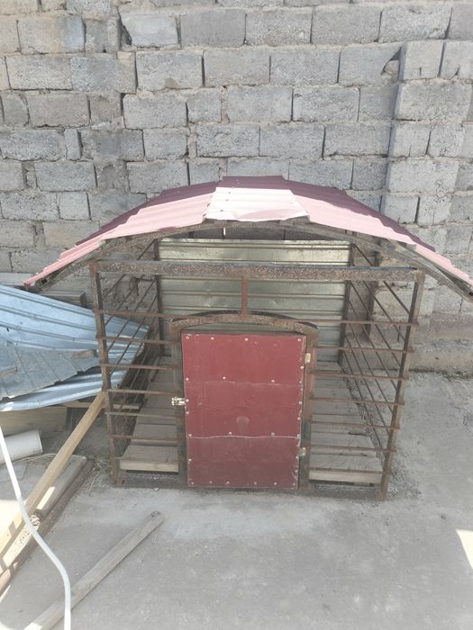 Иттин уйшиги сатылады