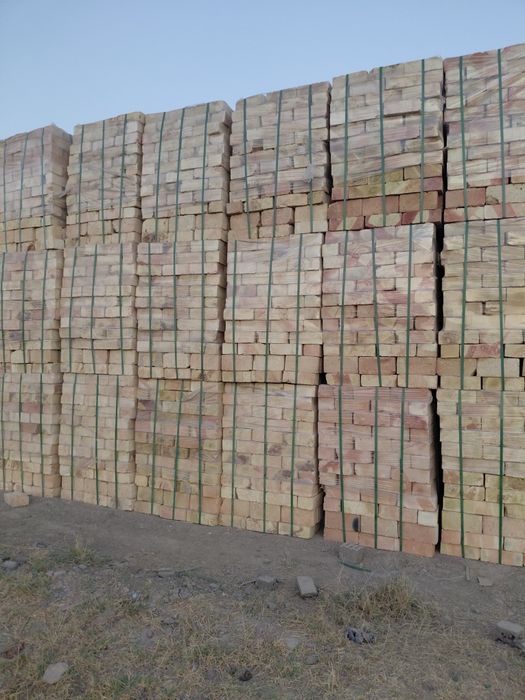 Pishgan gʻisht 12x25x9